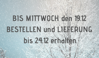 Lieferung für Weihnachten